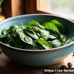 자가 발효로 만든 시금치 피클 - A bright, rustic kitchen scene showcasing fresh, organic spinach leaves being carefully washed in a ...